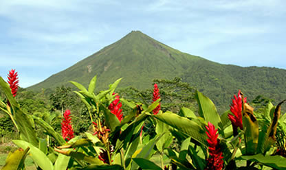 Super Oferta: Tour a PURA VIDA EN COSTA RICA | COSTA RICA en Español 2026-2027
