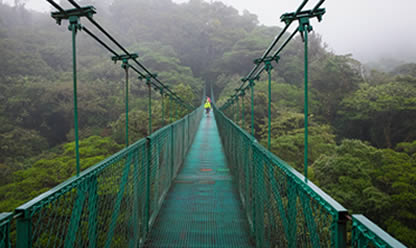 Viajes a COSTA RICA AL SON DEL CALYPSO 2025 en español | Agencia de Viajes Festival