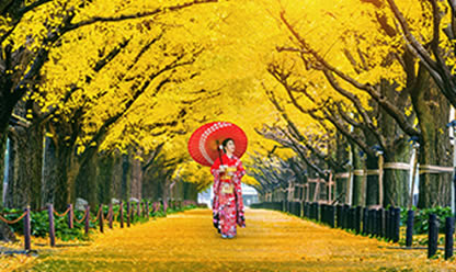 Viajes a NORTE DE JAPÓN 2026 en español | Agencia de Viajes Festival