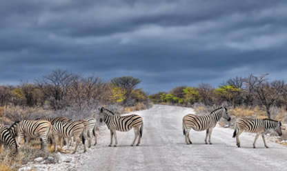 Tour a SCENIC NAMIBIA 2026 en español | Tours a Europa