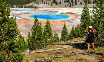 Viajes a WASHINGTON Y NUEVA YORK 2026 en español | Agencia de Viajes Festival