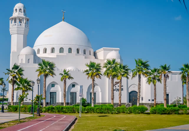 Foto del viaje a arabia en Español 2025-2026