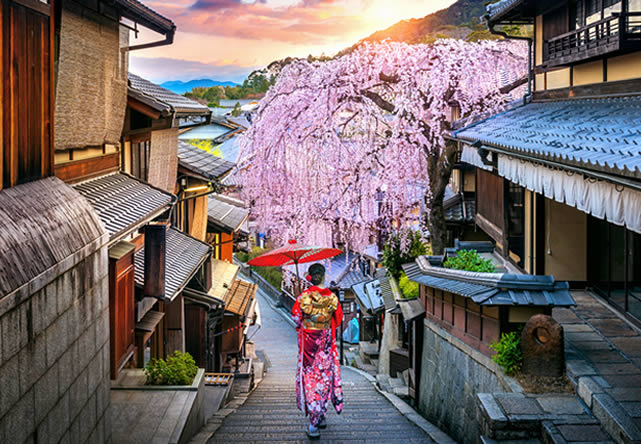 Foto del viaje a japon en Español 2025-2026