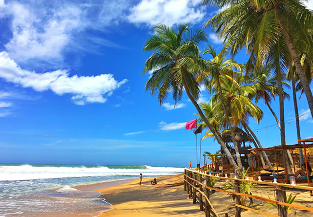 foto del tour a sri lanka en español 2026-2027