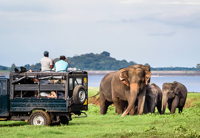 foto del tour a sri lanka en español 2026-2027